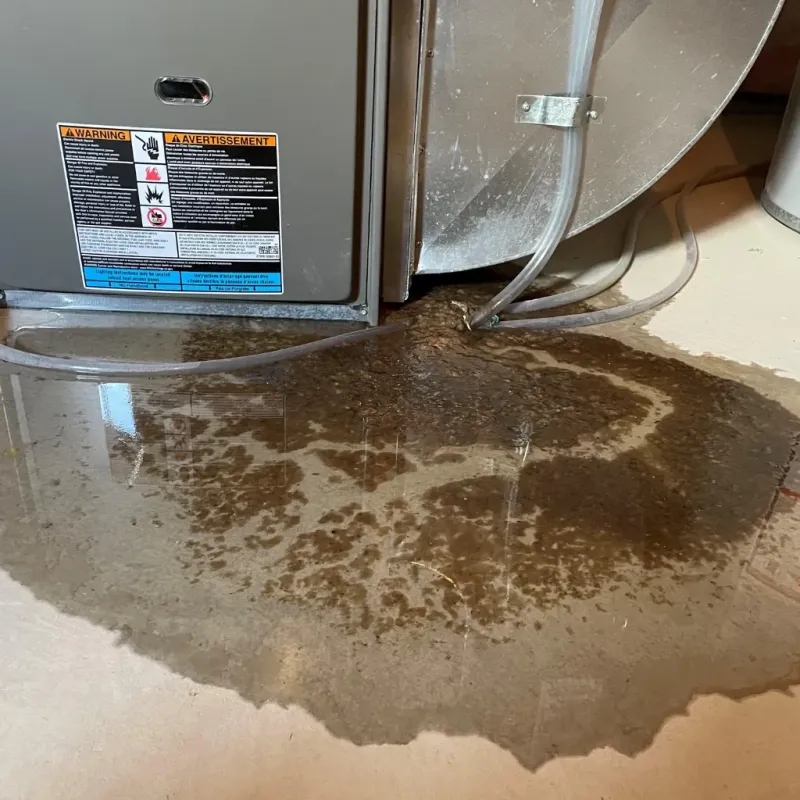 Appliance Leak Cleanup in Elysburg, PA